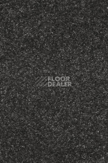 Ковролин AW Invictus Atticus Atticus 97 фото 1 | FLOORDEALER